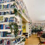 Cozy bookstore with shelves full of books and plants.